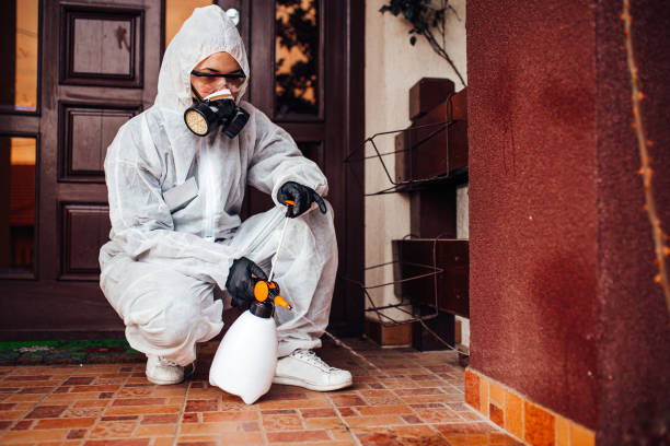 Attic and Crawl Space Rodent Treatment in Sonoma State University