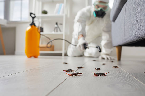 Commercial Rodent Management in Sonoma State University
